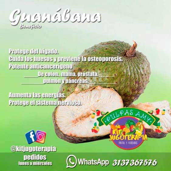 Propiedades de la pulpa de guanábana